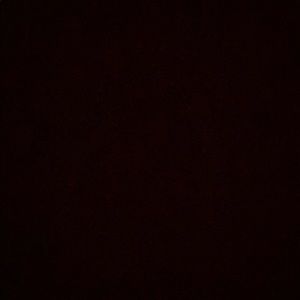 Meet your Posher, Penelope